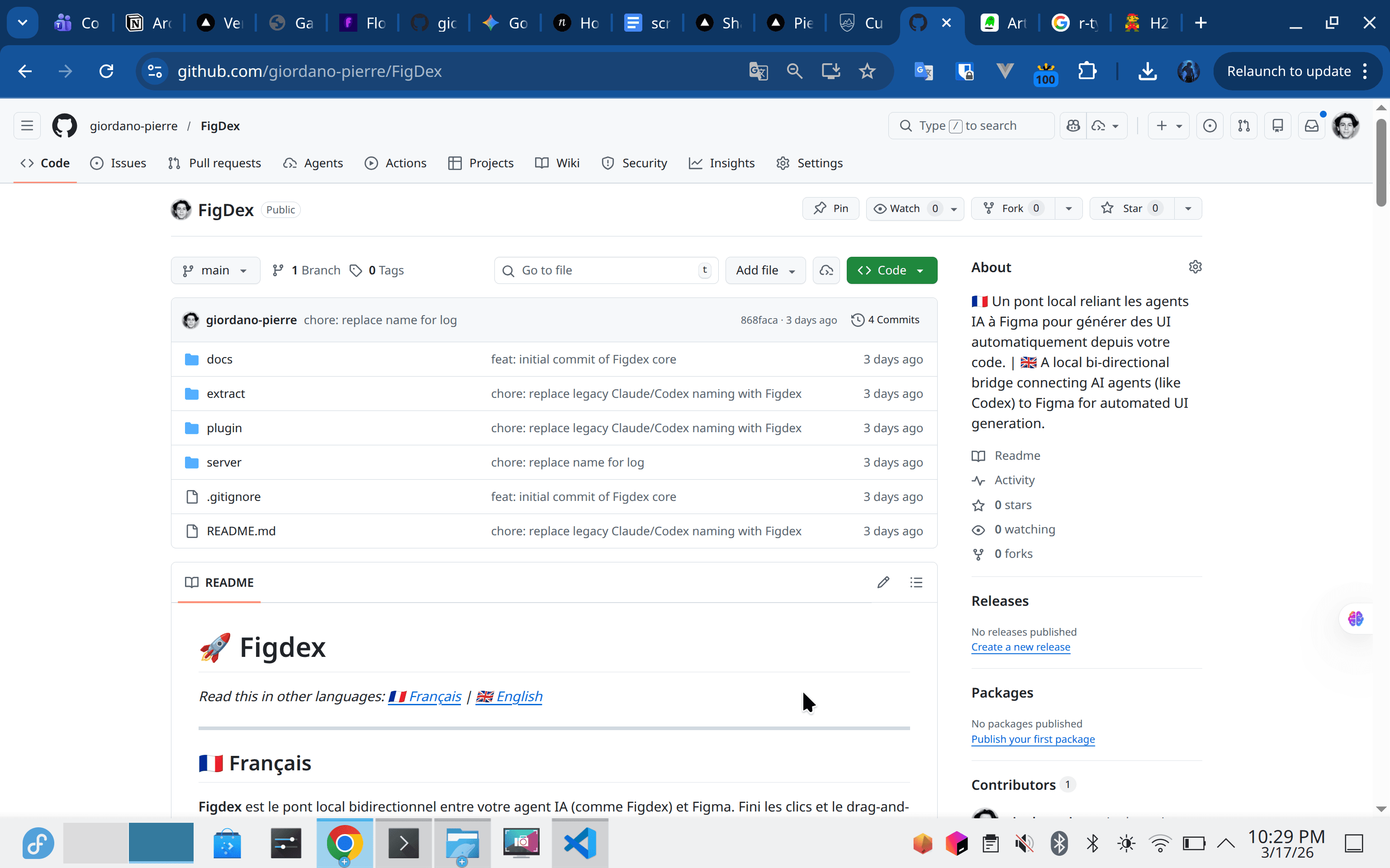 Capture du repository FigDex